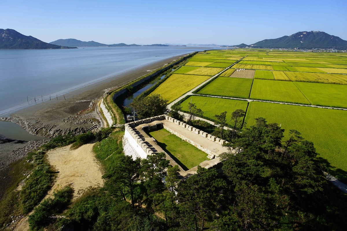강화군, '서해 황금 들녘길' 걷기 챌린지 개최