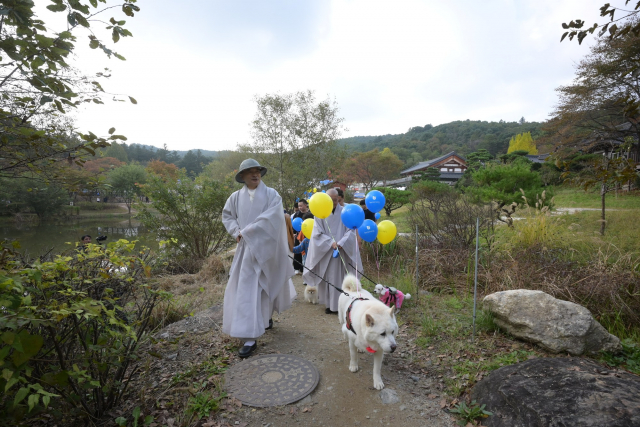반려견과 함께하는 선명상 축제 – 마음챙김 걷기 명상(제25교구 봉선사교구장 호산 스님)
