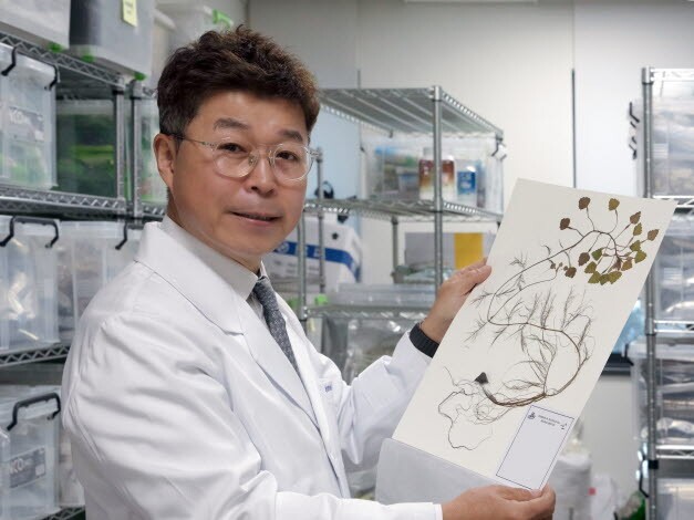 경희대 한의과대학 김호철 교수(사진=경희대)